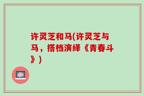许灵芝和马(许灵芝与马，搭档演绎《青春斗》)