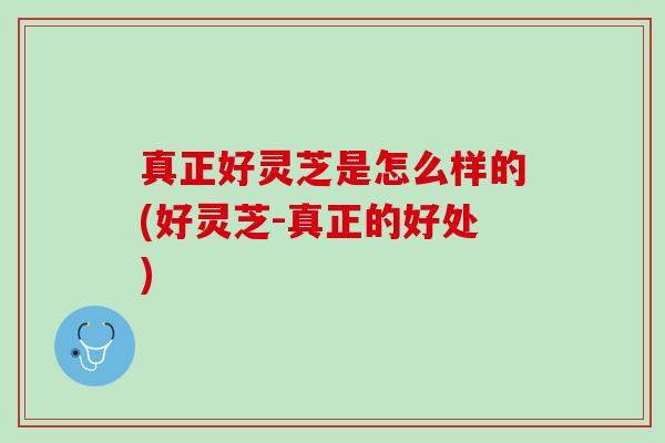 真正好灵芝是怎么样的(好灵芝-真正的好处)