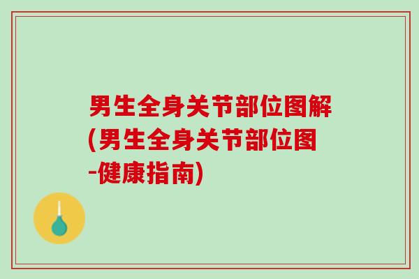 男生全身关节部位图解(男生全身关节部位图-健康指南)