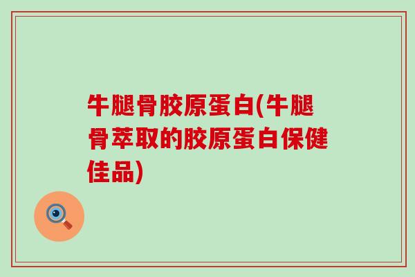 牛腿骨胶原蛋白(牛腿骨萃取的胶原蛋白保健佳品)