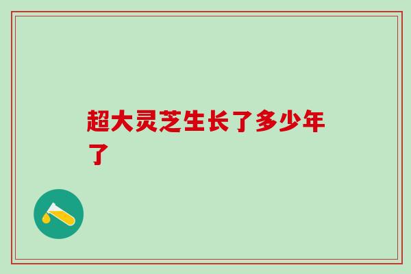 超大灵芝生长了多少年了