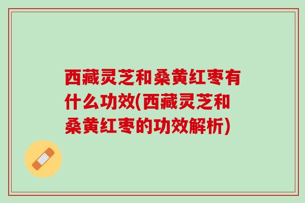西藏灵芝和桑黄红枣有什么功效(西藏灵芝和桑黄红枣的功效解析)