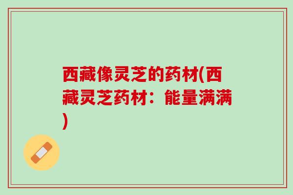 西藏像灵芝的药材(西藏灵芝药材：能量满满)