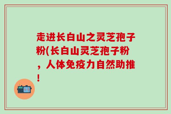 走进长白山之灵芝孢子粉(长白山灵芝孢子粉，人体免疫力自然助推！