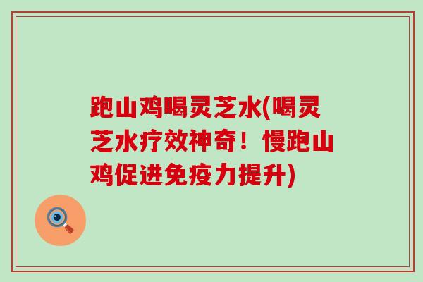 跑山鸡喝灵芝水(喝灵芝水疗效神奇！慢跑山鸡促进免疫力提升)
