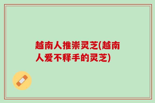 越南人推崇灵芝(越南人爱不释手的灵芝)