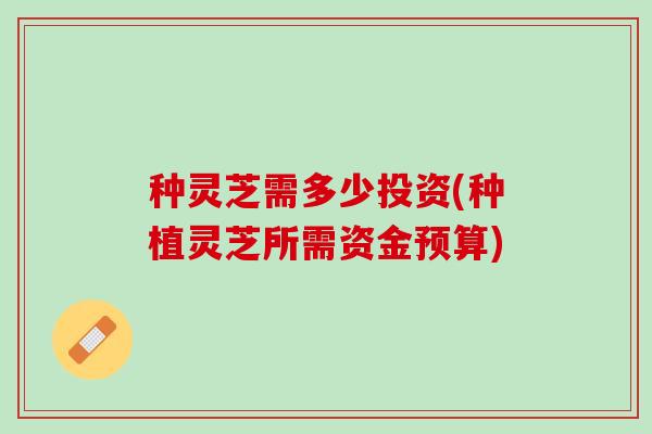 种灵芝需多少投资(种植灵芝所需资金预算)