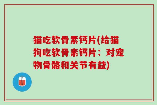 猫吃软骨素钙片(给猫狗吃软骨素钙片：对宠物骨骼和关节有益)