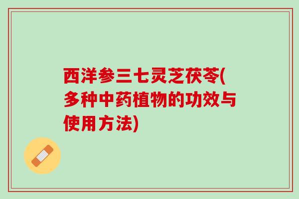 西洋参三七灵芝茯苓(多种中药植物的功效与使用方法)