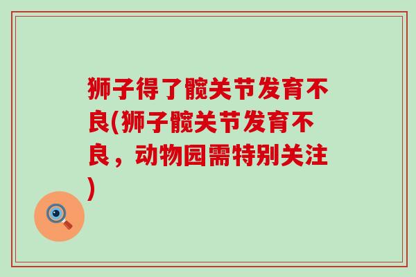 狮子得了髋关节发育不良(狮子髋关节发育不良，动物园需特别关注)