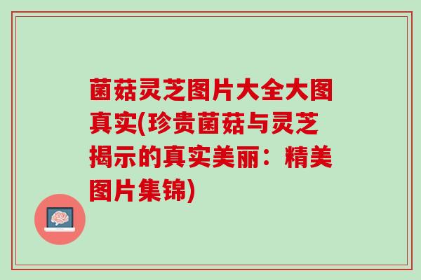 菌菇灵芝图片大全大图真实(珍贵菌菇与灵芝揭示的真实美丽：精美图片集锦)