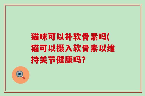 猫咪可以补软骨素吗(猫可以摄入软骨素以维持关节健康吗？