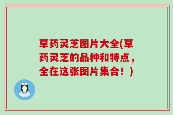 草药灵芝图片大全(草药灵芝的品种和特点，全在这张图片集合！)