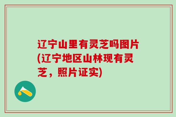 辽宁山里有灵芝吗图片(辽宁地区山林现有灵芝，照片证实)