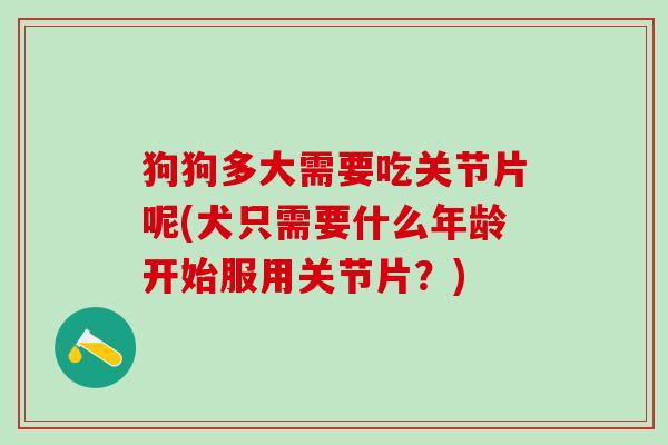 狗狗多大需要吃关节片呢(犬只需要什么年龄开始服用关节片？)