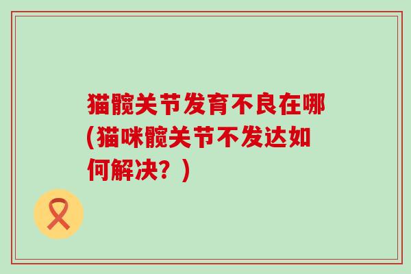 猫髋关节发育不良在哪(猫咪髋关节不发达如何解决？)