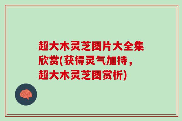 超大木灵芝图片大全集欣赏(获得灵气加持，超大木灵芝图赏析)