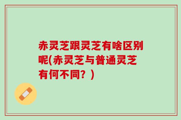 赤灵芝跟灵芝有啥区别呢(赤灵芝与普通灵芝有何不同？)