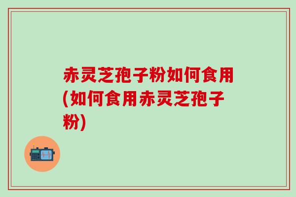 赤灵芝孢子粉如何食用(如何食用赤灵芝孢子粉)