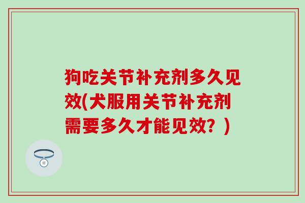 狗吃关节补充剂多久见效(犬服用关节补充剂需要多久才能见效？)