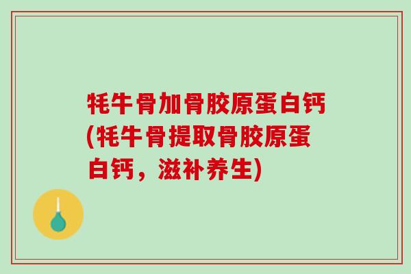 牦牛骨加骨胶原蛋白钙(牦牛骨提取骨胶原蛋白钙，滋补养生)