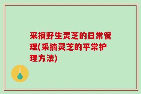 采摘野生灵芝的日常管理(采摘灵芝的平常护理方法)