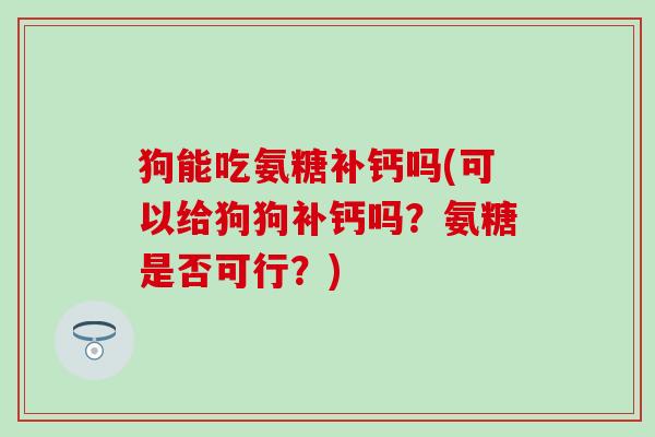 狗能吃氨糖补钙吗(可以给狗狗补钙吗？氨糖是否可行？)