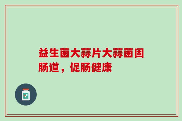 益生菌大蒜片大蒜菌固肠道，促肠健康