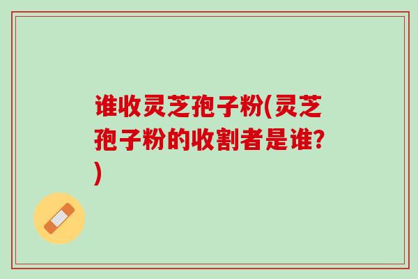 谁收灵芝孢子粉(灵芝孢子粉的收割者是谁？)