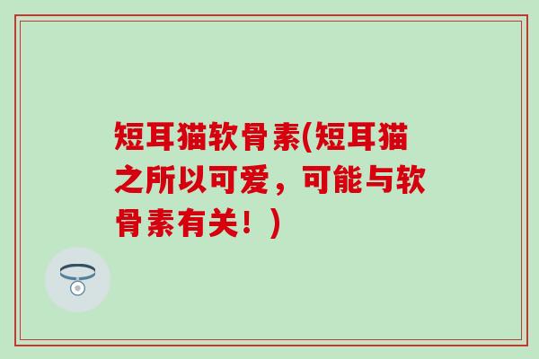短耳猫软骨素(短耳猫之所以可爱，可能与软骨素有关！)