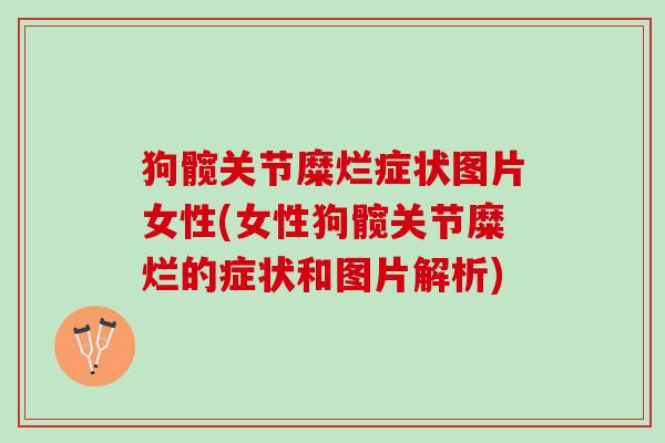 狗髋关节糜烂症状图片女性(女性狗髋关节糜烂的症状和图片解析)