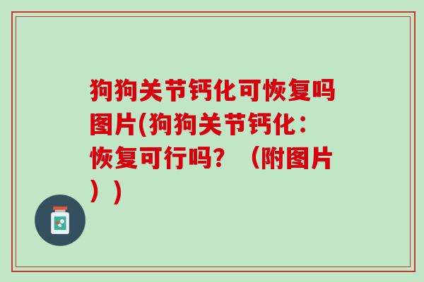 狗狗关节钙化可恢复吗图片(狗狗关节钙化：恢复可行吗？（附图片）)