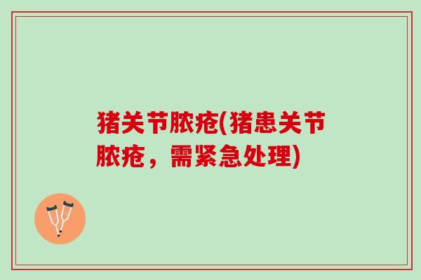 猪关节脓疮(猪患关节脓疮，需紧急处理)