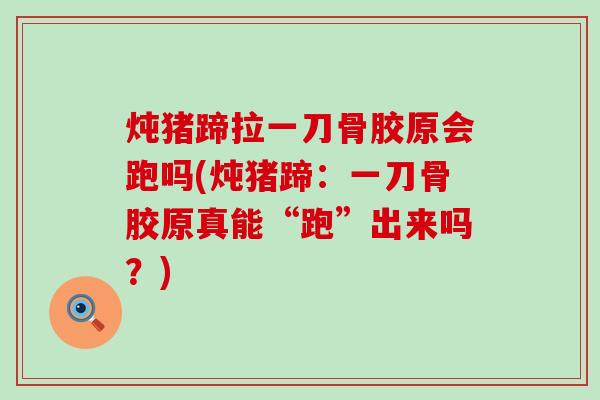 炖猪蹄拉一刀骨胶原会跑吗(炖猪蹄：一刀骨胶原真能“跑”出来吗？)