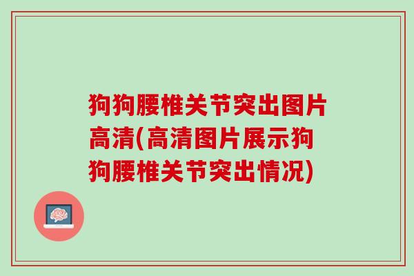 狗狗腰椎关节突出图片高清(高清图片展示狗狗腰椎关节突出情况)