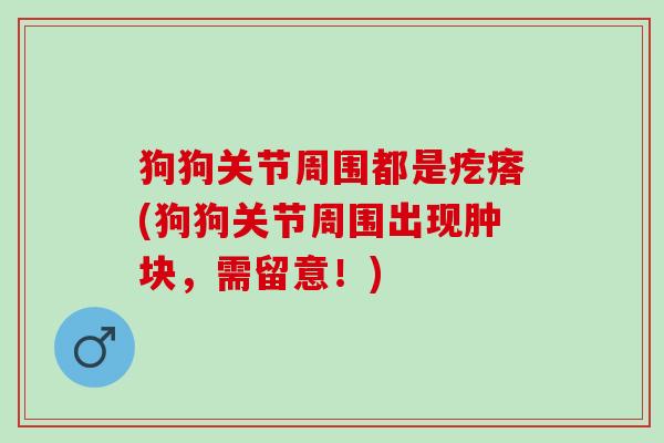 狗狗关节周围都是疙瘩(狗狗关节周围出现肿块，需留意！)
