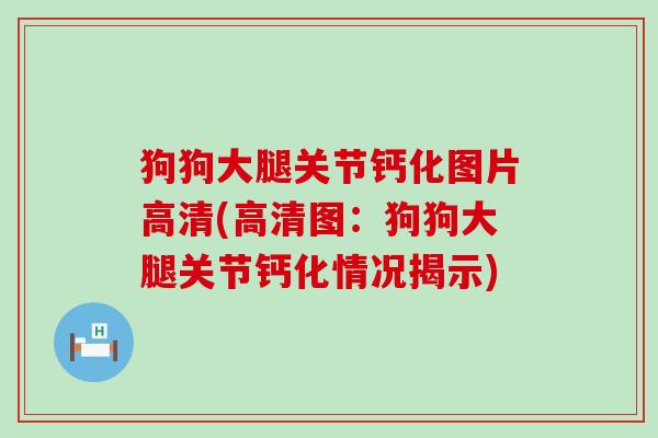 狗狗大腿关节钙化图片高清(高清图：狗狗大腿关节钙化情况揭示)