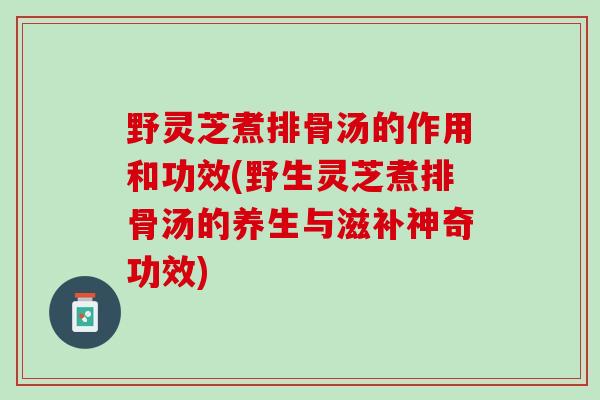 野灵芝煮排骨汤的作用和功效(野生灵芝煮排骨汤的养生与滋补神奇功效)