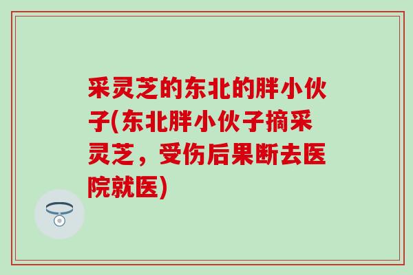 采灵芝的东北的胖小伙子(东北胖小伙子摘采灵芝，受伤后果断去医院就医)