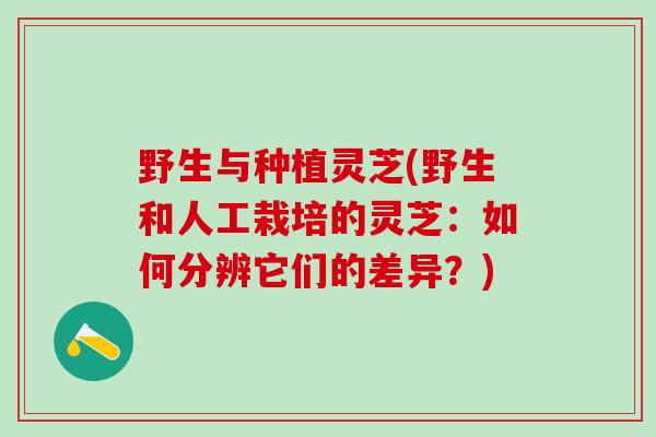 野生与种植灵芝(野生和人工栽培的灵芝：如何分辨它们的差异？)