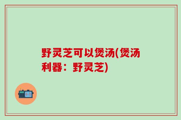 野灵芝可以煲汤(煲汤利器：野灵芝)