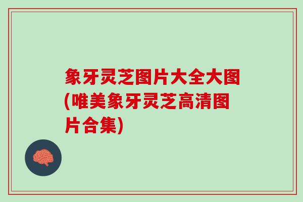 象牙灵芝图片大全大图(唯美象牙灵芝高清图片合集)