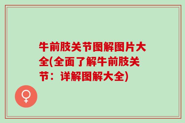 牛前肢关节图解图片大全(全面了解牛前肢关节：详解图解大全)