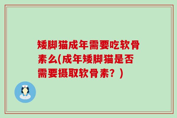 矮脚猫成年需要吃软骨素么(成年矮脚猫是否需要摄取软骨素？)