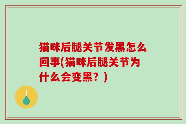 猫咪后腿关节发黑怎么回事(猫咪后腿关节为什么会变黑？)