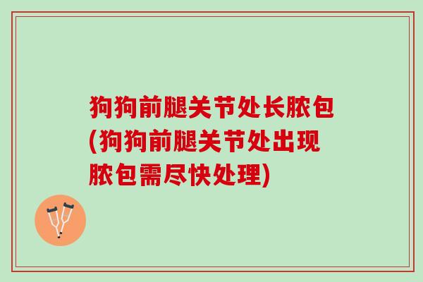 狗狗前腿关节处长脓包(狗狗前腿关节处出现脓包需尽快处理)