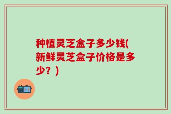 种植灵芝盒子多少钱(新鲜灵芝盒子价格是多少？)