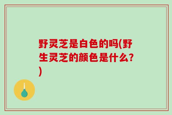 野灵芝是白色的吗(野生灵芝的颜色是什么？)
