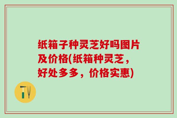 纸箱子种灵芝好吗图片及价格(纸箱种灵芝，好处多多，价格实惠)
