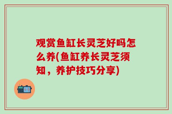 观赏鱼缸长灵芝好吗怎么养(鱼缸养长灵芝须知，养护技巧分享)